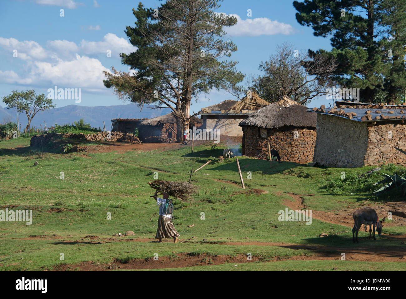 Femme portant sur la tête de bois de village dans le district de Mafeteng Malealea Lesotho Afrique du Sud Banque D'Images