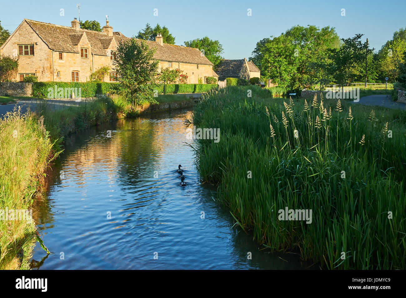 Lower Slaughter et la rivière Œil dans les Cotswolds, Gloucestershire Banque D'Images