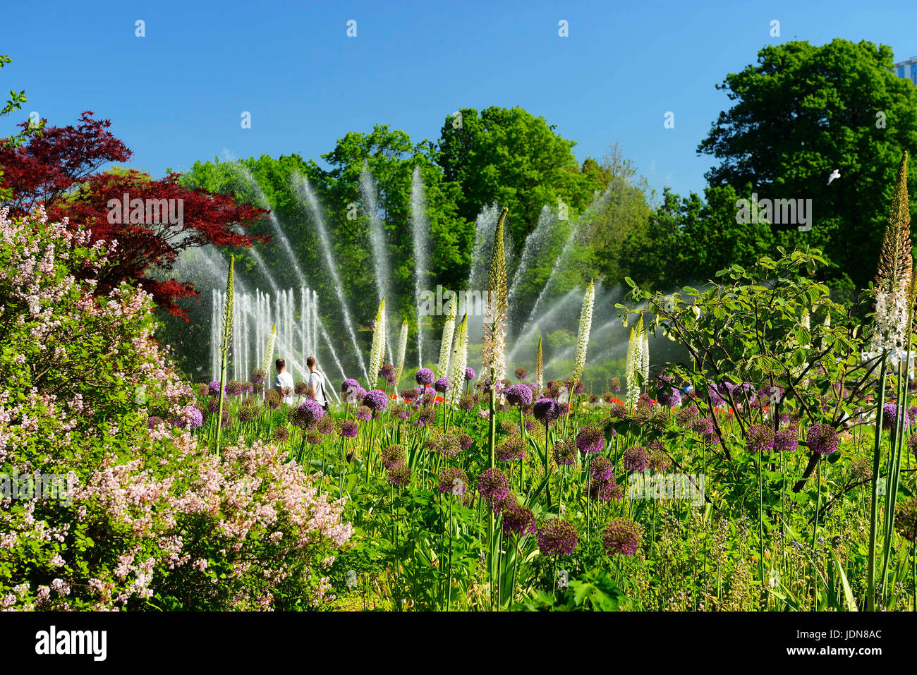 Les fontaines d'eau dans la planification du parc un Blomen à Hambourg, Allemagne, Europe, Wasserspiele im Park parc Planten un Blomen à Hambourg, Deutschland, Europa Banque D'Images