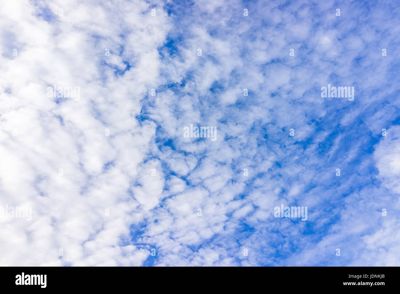 Ciel nuages isolés avec l'échelle comme des formes et couleur bleu Banque D'Images