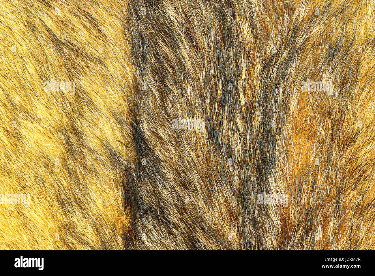 Détail de lynx eurasien prêt pour votre conception en cuir, gros plan du motif de texture de peau animale Banque D'Images