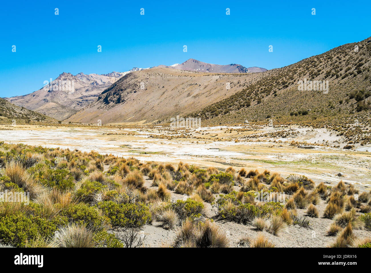 Paysage dans le parc national de Sajama, Bolivie Banque D'Images