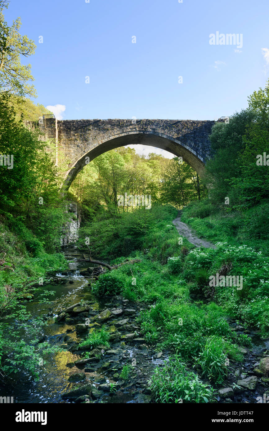 Causey Arch près de Stanley dans le comté de Durham à travée unique plus ancien pont de chemin de fer Banque D'Images