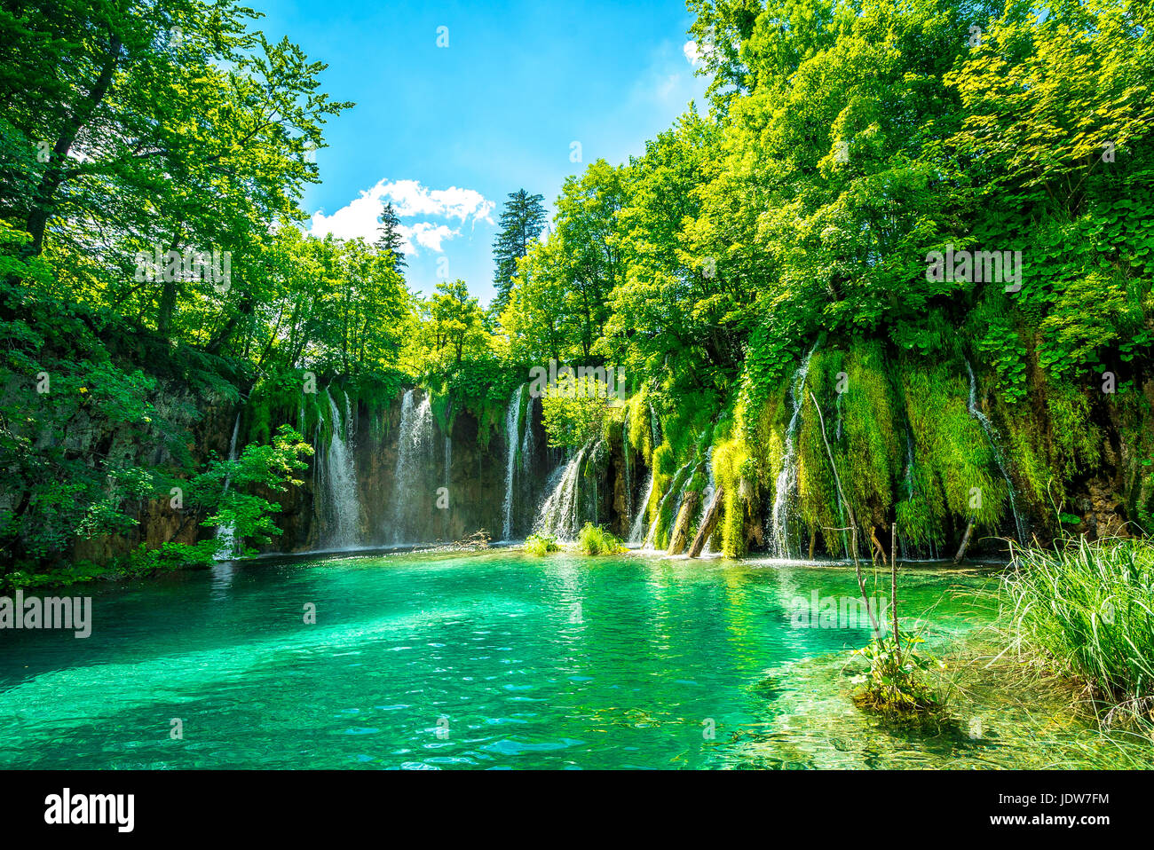 L'une des nombreuses cascades dans le parc national des Lacs de Plitvice Banque D'Images