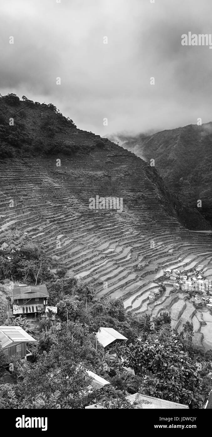 Flou en terrasse aux Philippines pour coultivation champ de riz de Banaue site de l'UNESCO Banque D'Images