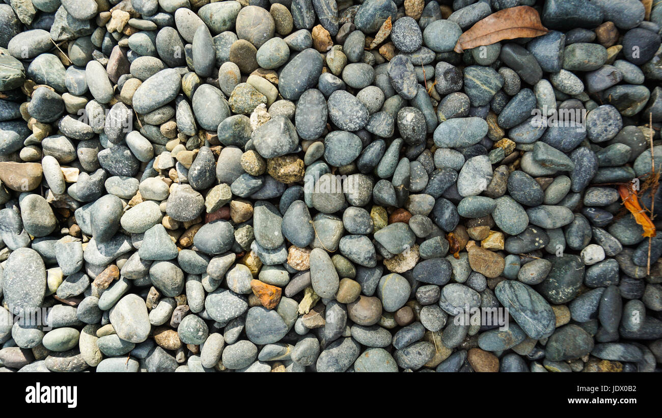 Beaucoup de gris, noir, blanc pebble stone texture background avec feuilles d'orange séchée Banque D'Images