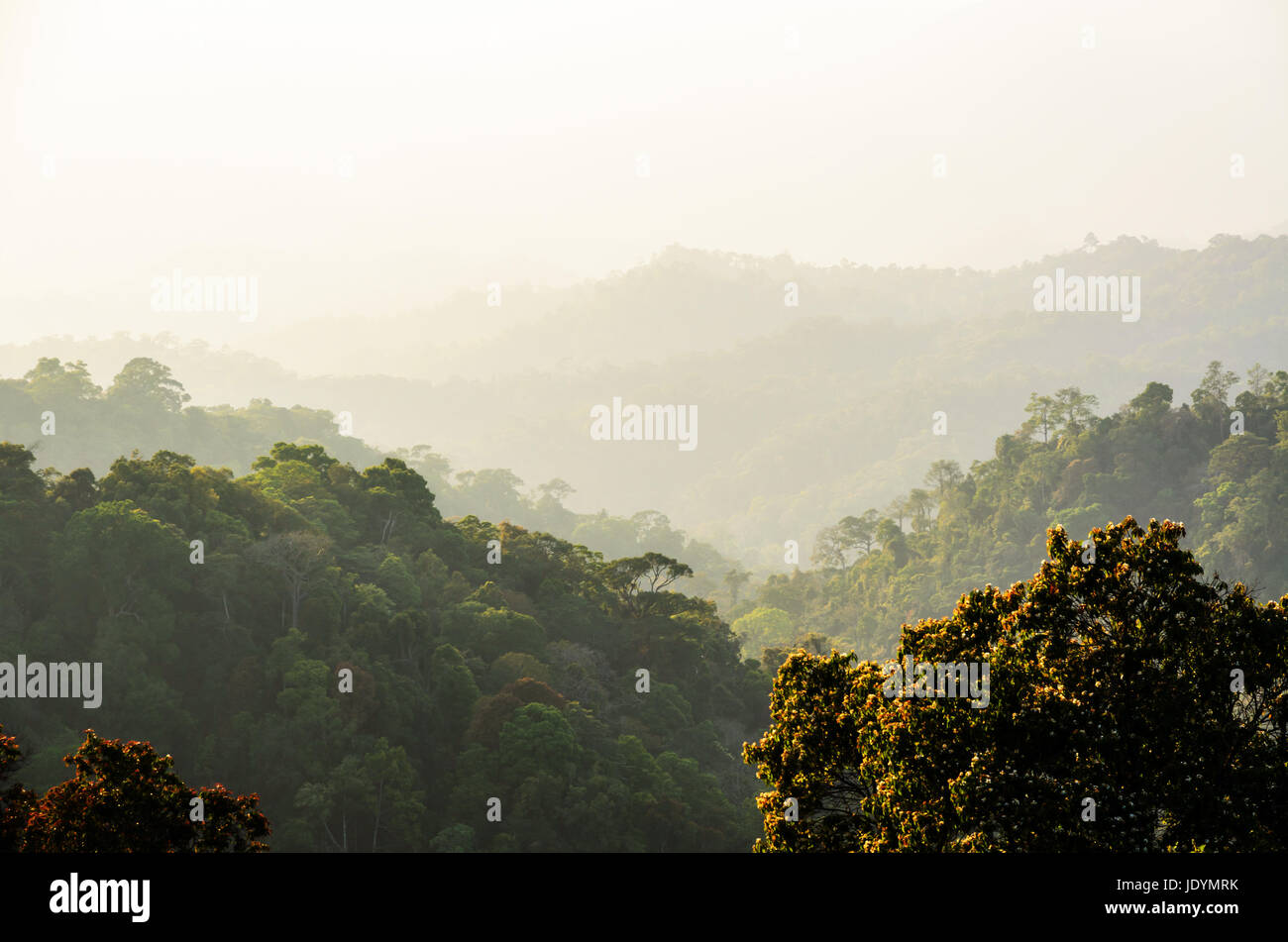 High angle view montagne forêt et ciel d'Panoen point panoramique à Thung Parc National Kaeng Krachan en Thaïlande province Phetchaburi Banque D'Images