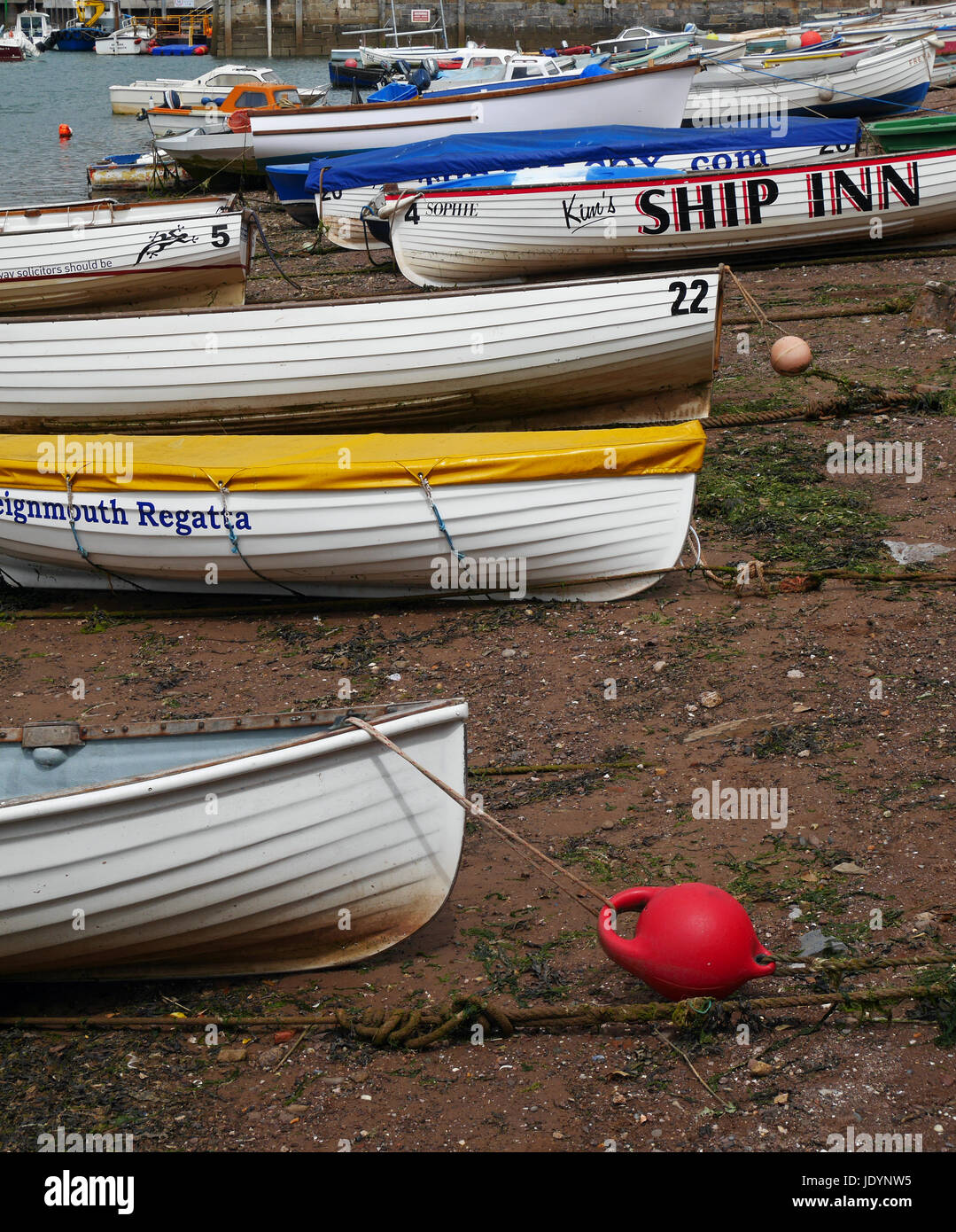 Barques échouées sur la plage de back, teignmouth, south devon, England, UK Banque D'Images