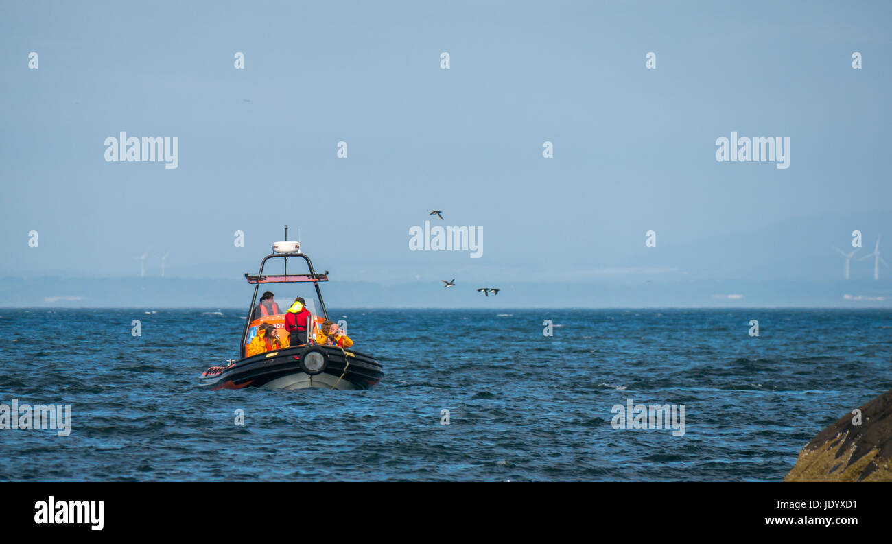Les touristes sur Seafari Rigid Inflatable Boat rib, Firth of Forth, Écosse, Royaume-Uni, pour voir les fous de bassan de Scottish Seabird Centre, North Berwick Banque D'Images