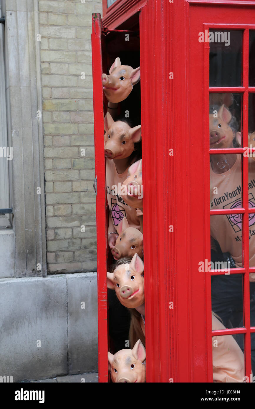 Londres, Royaume-Uni. 22 Juin, 2017. Marquise Tracy Worcester avec compression des militants dans des cabines téléphoniques dans un nouveau stunt conçus pour reproduire les conditions de la ferme usine les porcs sont détenus en. La campagne vise à renforcer le consommateur se révoltent contre le terrible des environnements où la surpopulation et le stress subi par les porcs ne signifie pas qu'ils ont de plus en plus systématiquement des antibiotiques pour éviter la maladie. Le Stunt coïncide avec la sortie d'une nouvelle série de vidéo appelée enracinement pour du vrai fermes. Credit : Dinendra Haria/Alamy Live News Banque D'Images