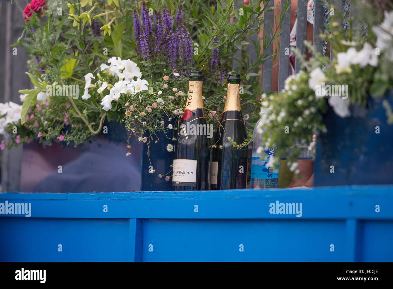 Le Queen's Club, London, UK. 22 juin 2017. Jour 4 de l'Aegon Tennis Championships 2017 dans l'ouest de Londres, Daniil Medvedev (RUS) v Thanasi Kokkinakis (AUS), remportant en deux ensembles. Credit : Malcolm Park / Alamy Live News Banque D'Images