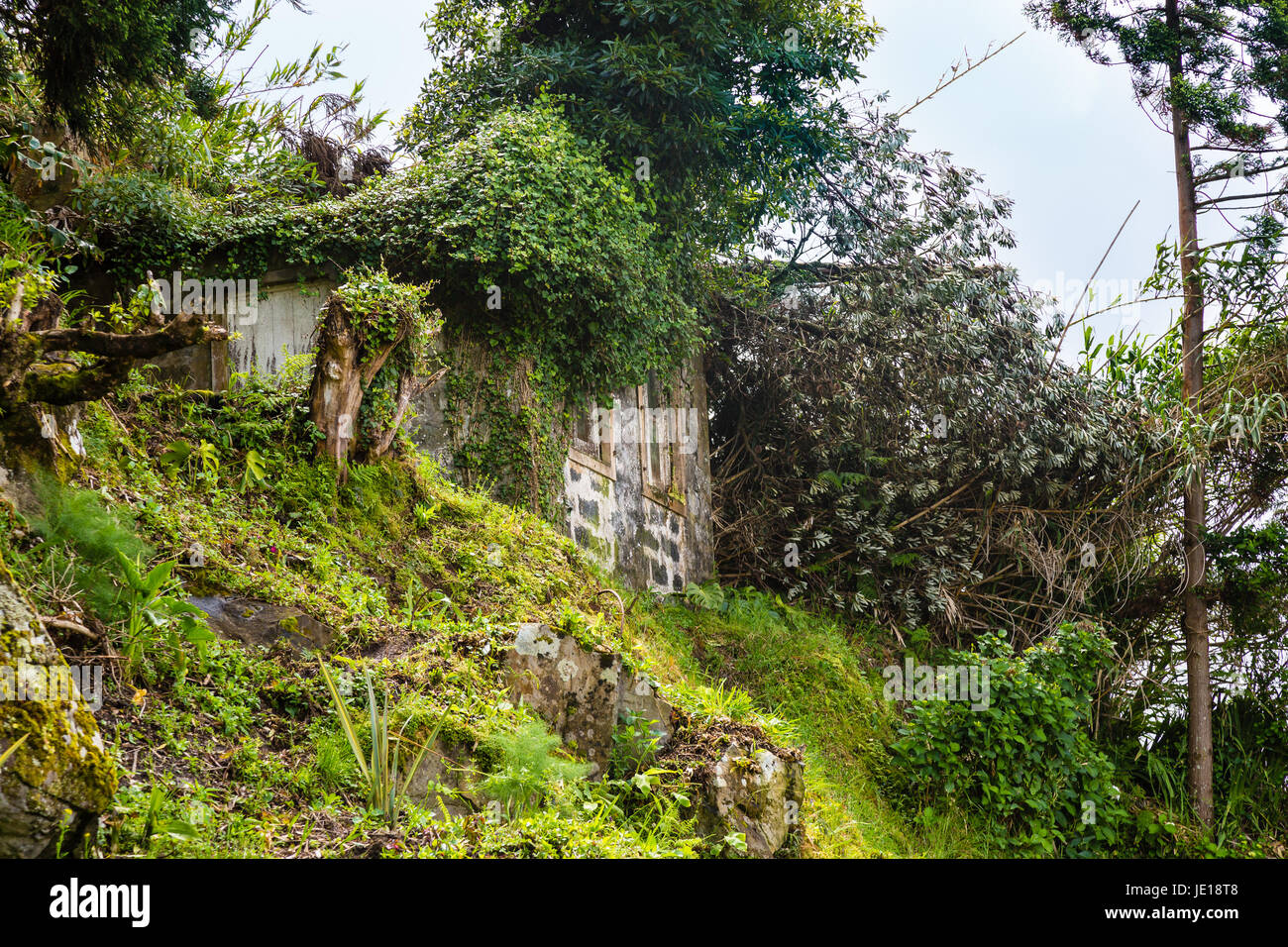 Ruine d'une vieille maison à Sao bras sur l'île de São Miguel, l'archipel des Açores dans l'océan atlantique appartenant au portugal Banque D'Images