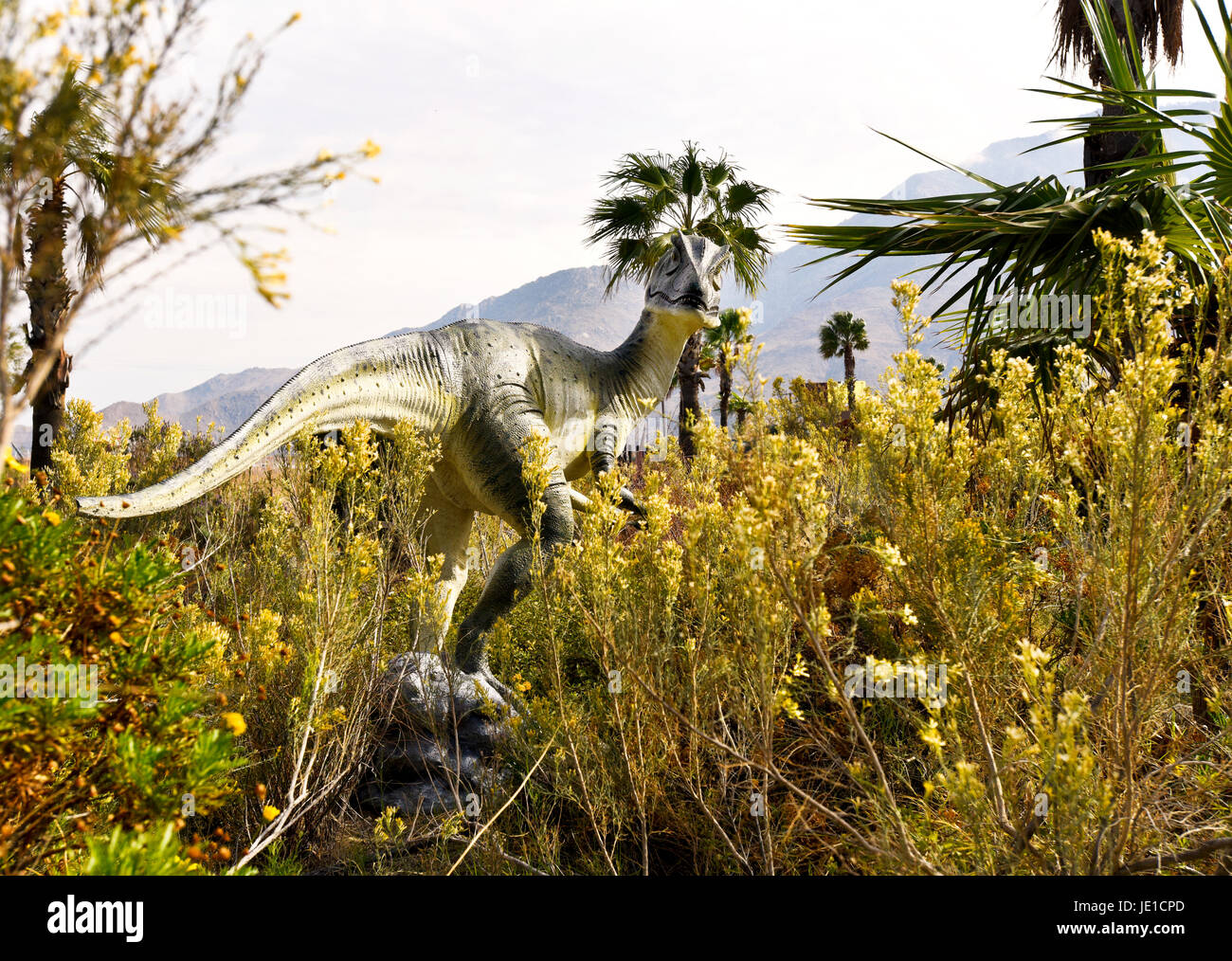 Grands dinosaures sur l'affichage à l'Cabazon Dinosaur Museum à Cabazon, California. Banque D'Images