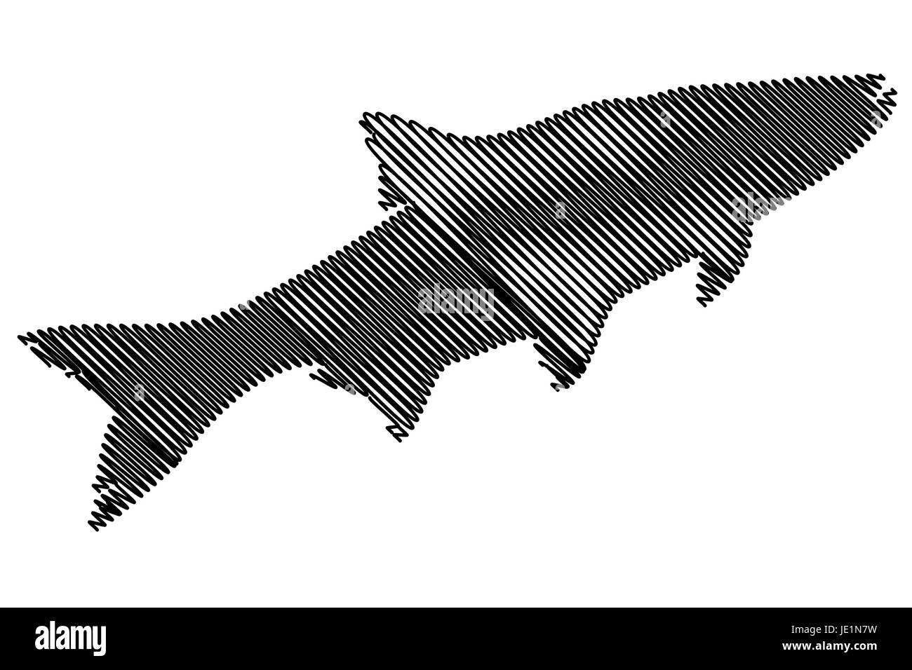 Silhouette vecteur, ASP (Aspius aspius), Illustration de Vecteur