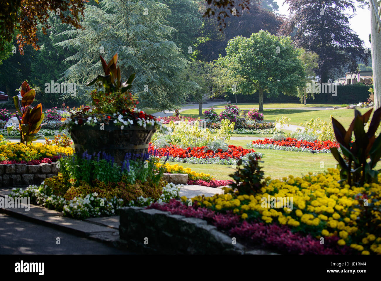 Par Guy Pic Newman. 18.07.2013. L'écran fantastique de couleur Boscawen Park, Truro, Cornwall. Banque D'Images