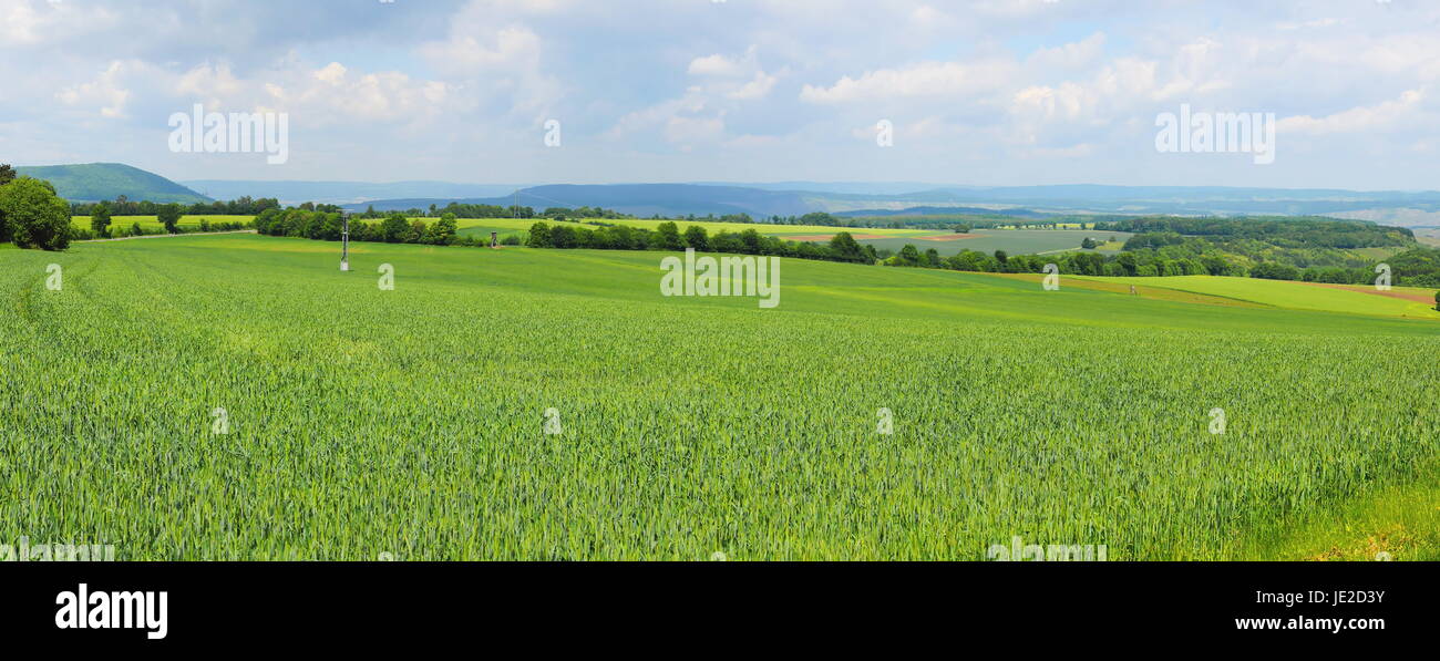 Grüne Felder auf dem Hunsrück oberhalb von Zell an der Mosel Panorama Banque D'Images