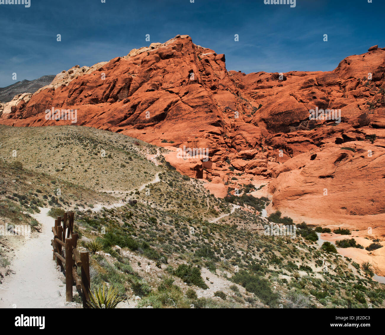 Sentier dans le parc national de Red Rock Canyon, Las Vegas, NV, USA Banque D'Images