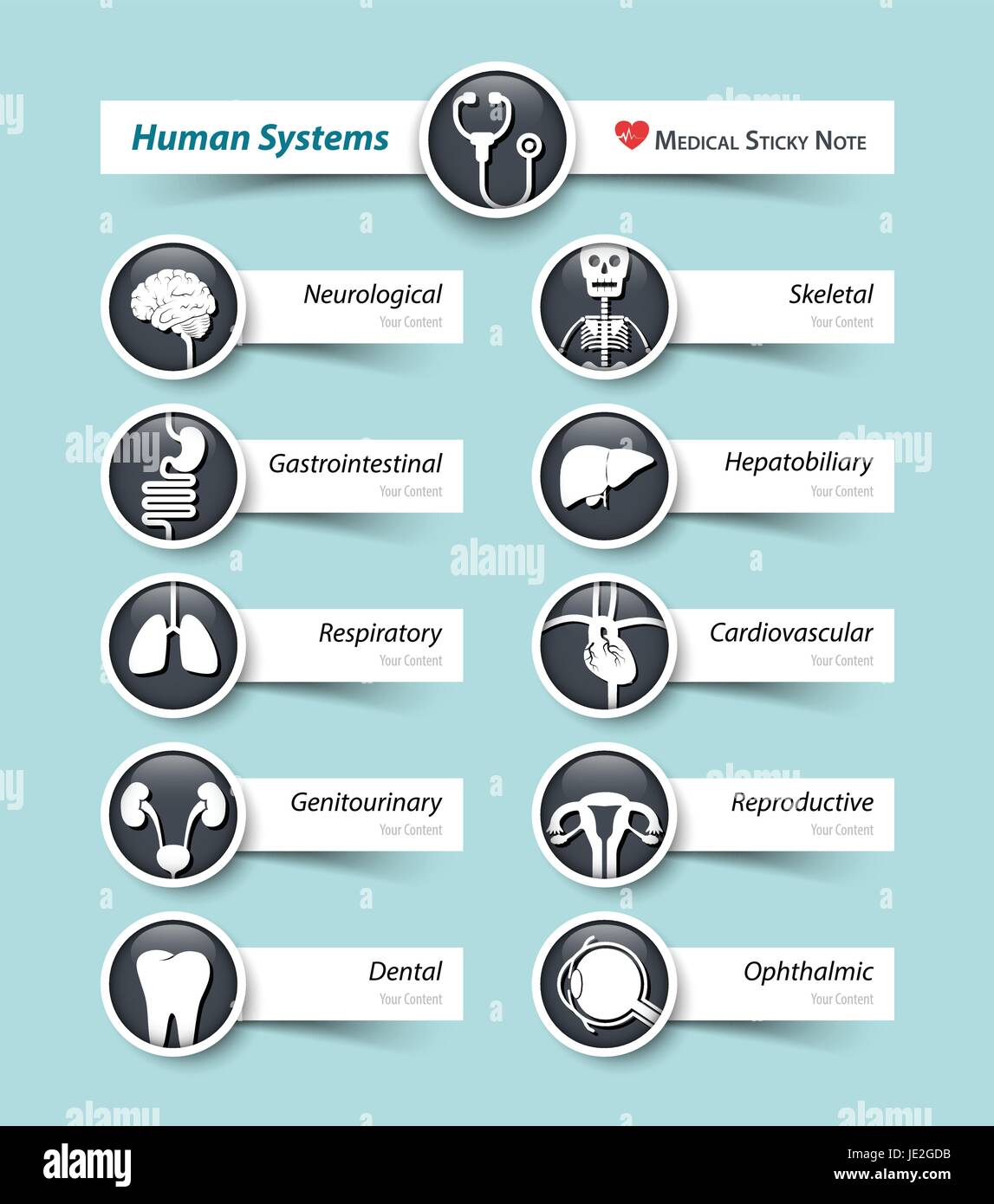 Les systèmes humains . Icône médical et post-it . Illustration de Vecteur