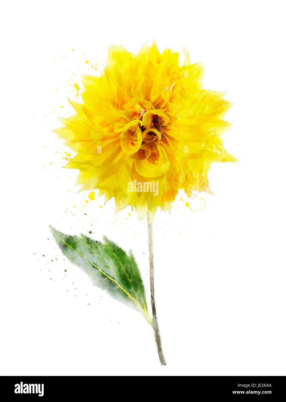 Aquarelle peinture digitale de Dahlia jaune Banque D'Images