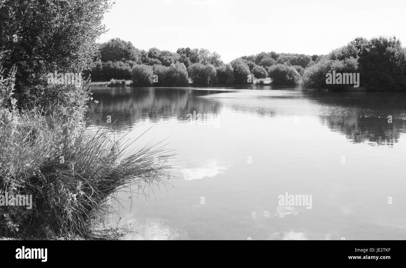 Barden Lake à Haysden Country Park, Tonbridge - traitement monochrome Banque D'Images