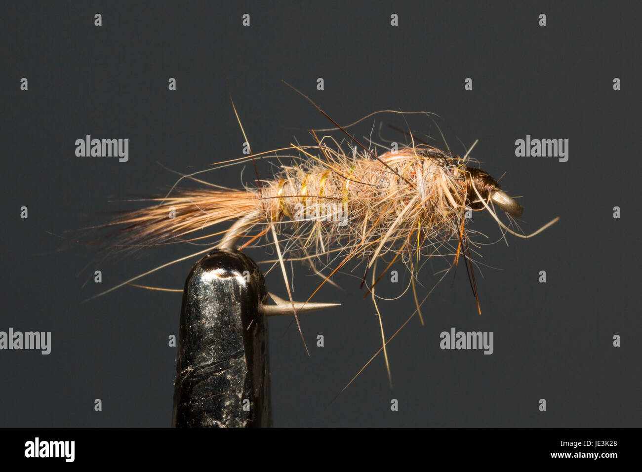 L'oreille de lièvre mouche nymphe Photo Stock - Alamy
