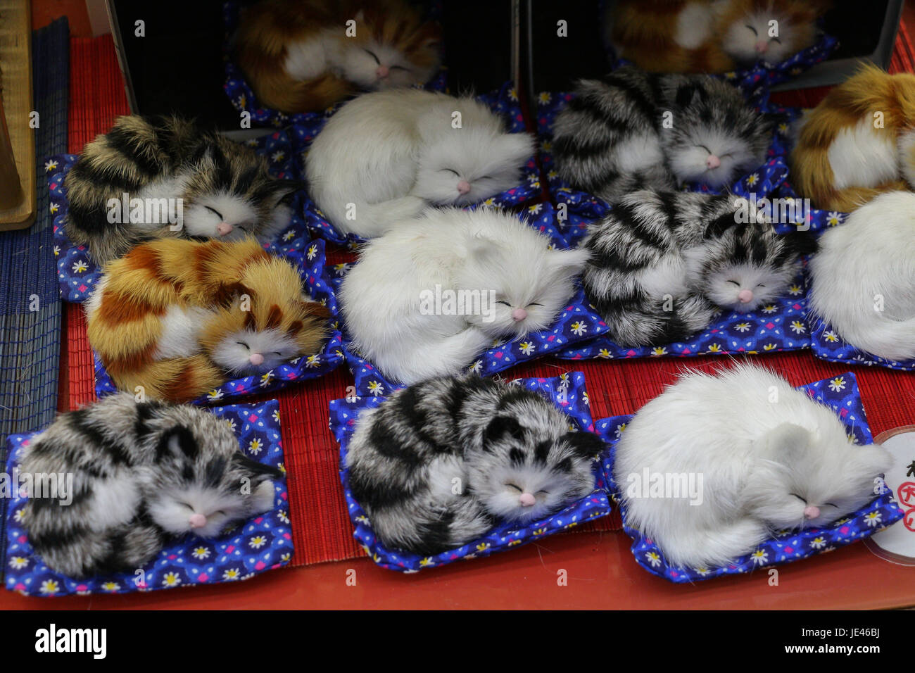 Dans la fenêtre d'un magasin de souvenirs japonais il y avait une étagère-pleine de petits chats couchage réaliste, blanc pur au tigre, endormi sur peu d'oreillers. Banque D'Images