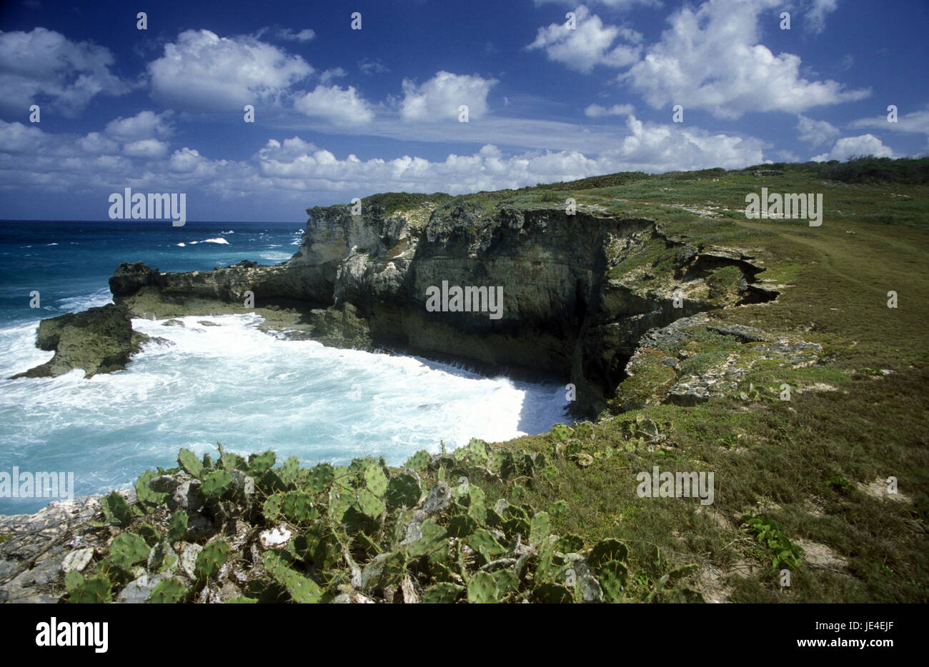 La côte au village de Punta Cana en République Dominicaine dans la mer des Caraïbes en Amérique latine. Banque D'Images