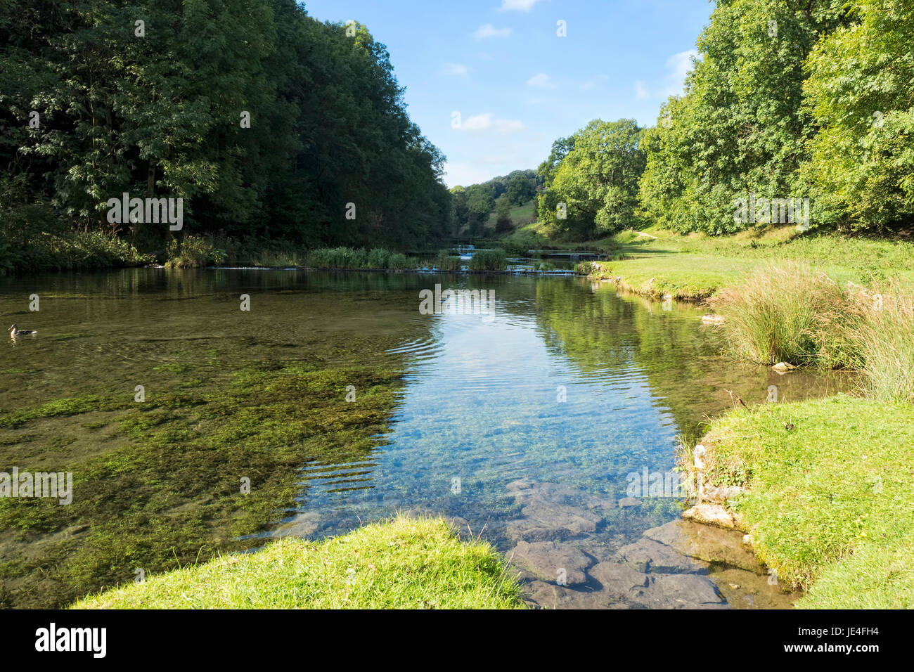 La rivière Lathkill coule lentement au cours des déversoirs à plus de Haddon. Banque D'Images