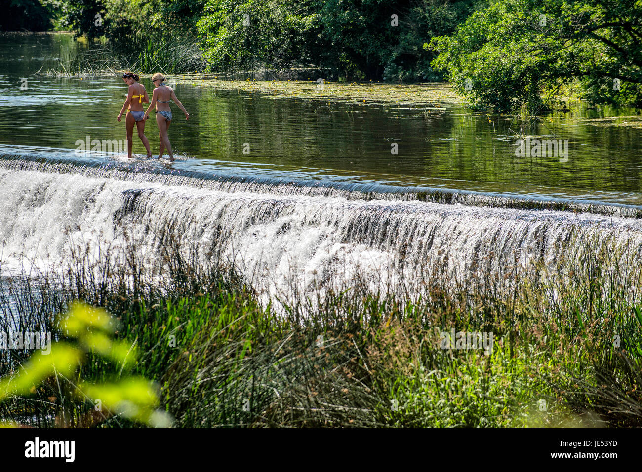 Les nageurs et les baigneurs profiter de l'eau à Warleigh Weir sur la rivière Avon près de Bath dans le Somerset. Banque D'Images