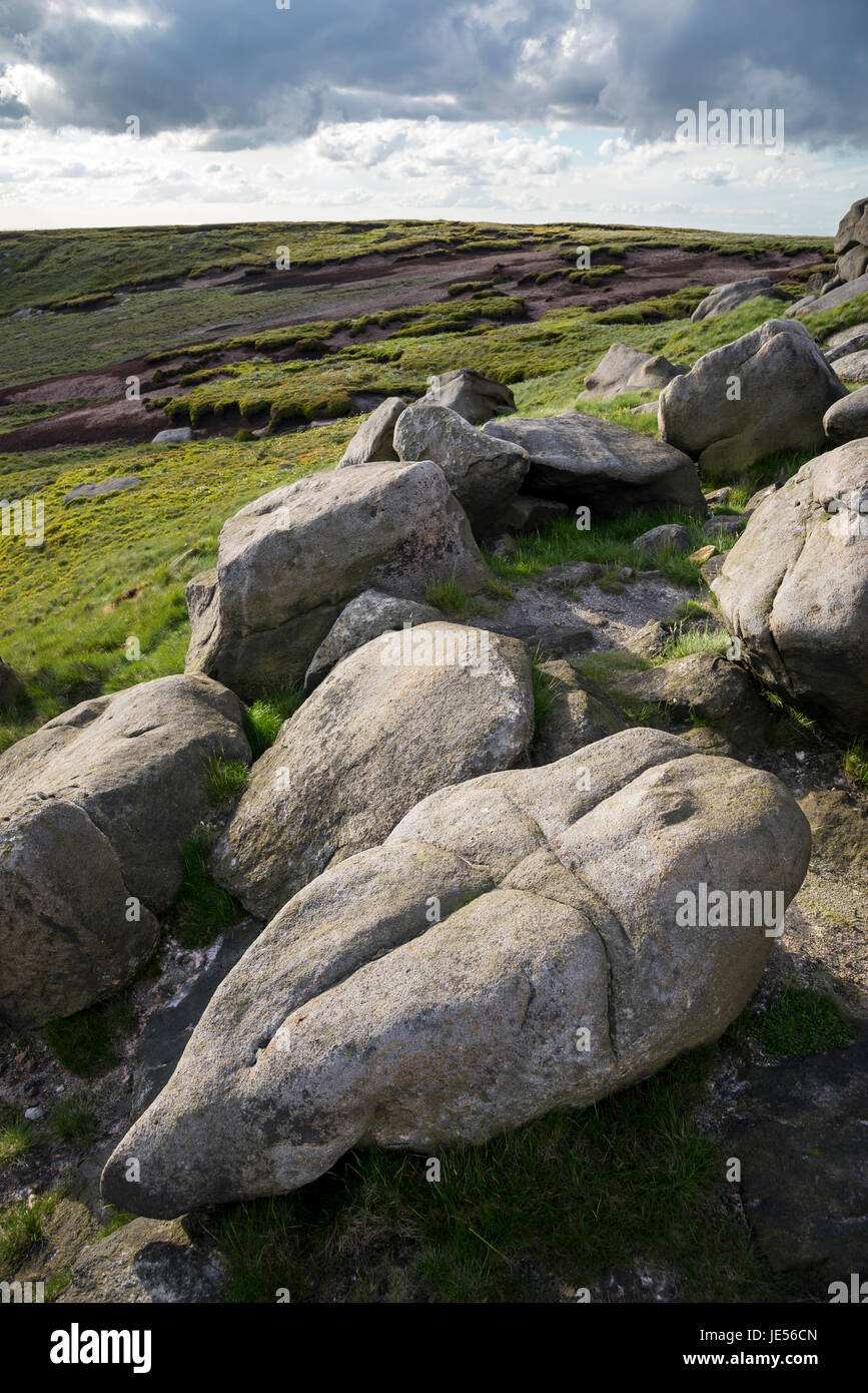 Les pierres du plateau sur Bleaklow, une zone de la lande paysage près de Hyde dans le noir Pic, Derbyshire, Angleterre. Banque D'Images