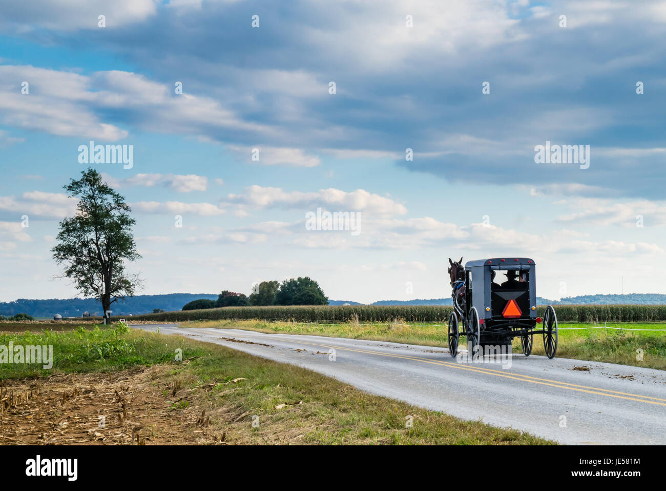 Chariot d'Amish le long d'une route de campagne dans la région de Lancaster, Pennsylvanie Banque D'Images