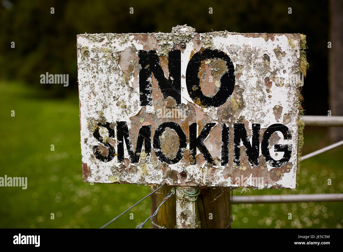 Aucun signe de fumer sur piste forestière Banque D'Images