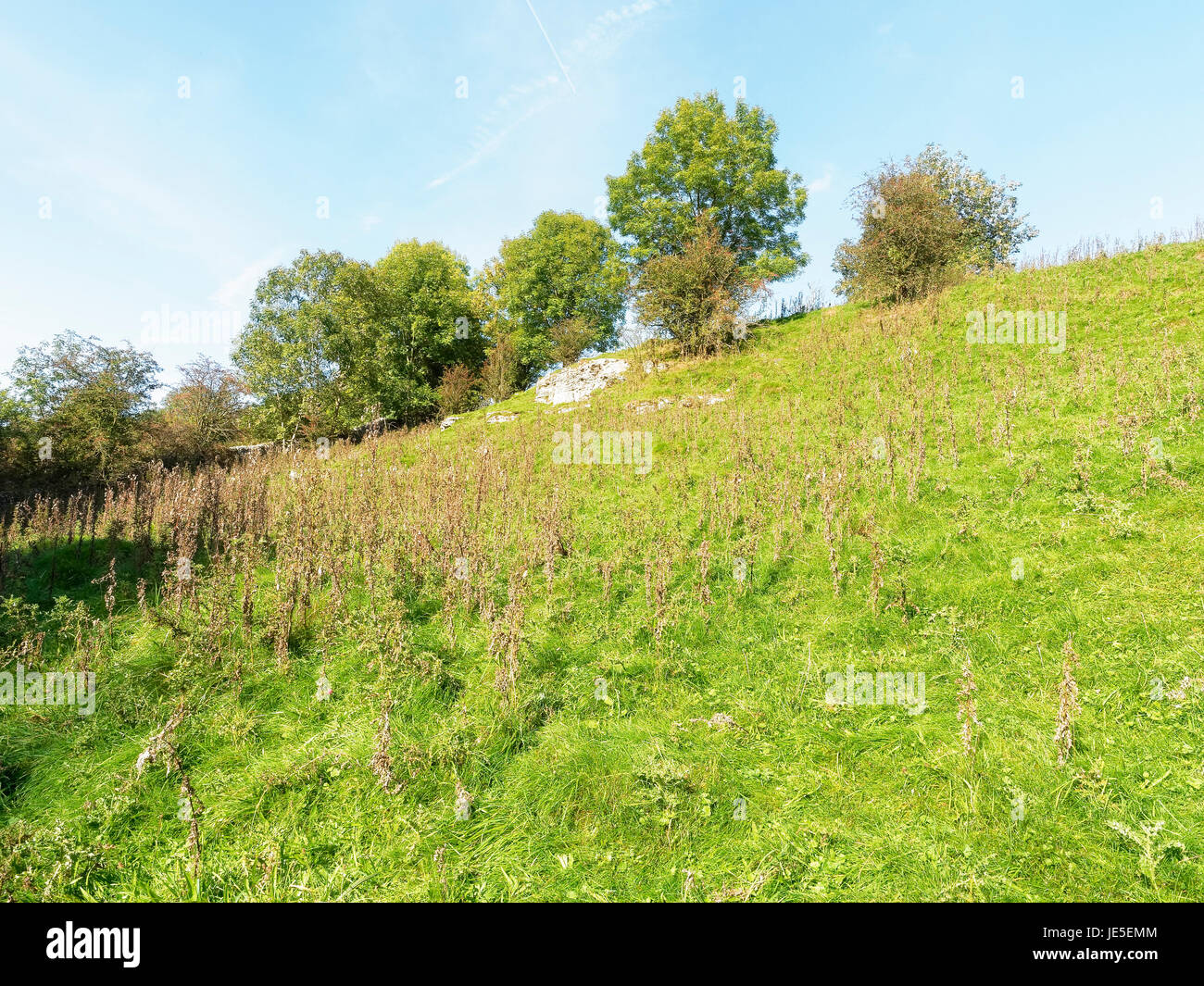 Les arbres s'accrochent à une colline raide au début de l'automne au soleil Lathkill Dale, Derbyshire. Banque D'Images