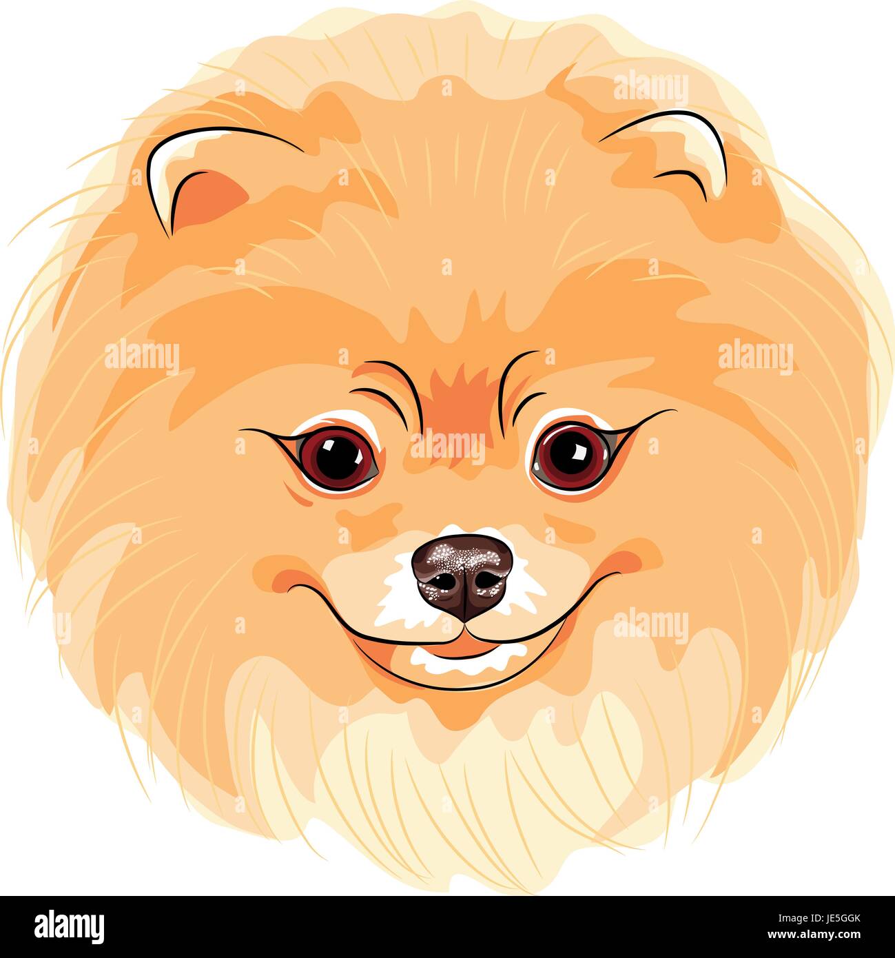 Vector mignon chien Pomeranian Illustration de Vecteur