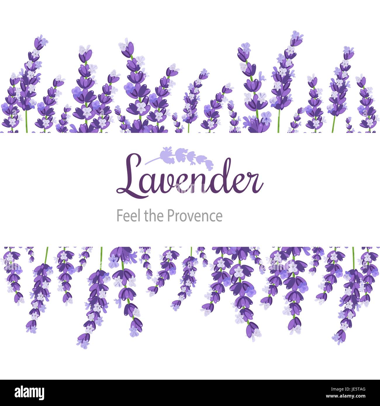 Carte avec des fleurs de lavande. Avec étiquette Vintage violet provence lavande. Illustration de Vecteur