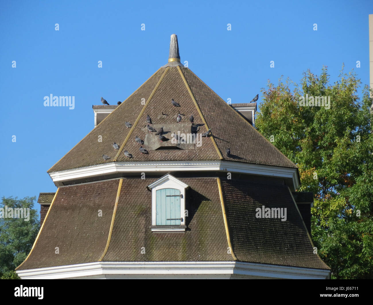 "Saarkran" est le nom d'un modèle de grue ou peut-être d'une grue spécifique utilisée sur la Sarre en Allemagne. L'image capture la grue en action, soulignant son utilité dans les projets industriels ou d'infrastructure. Banque D'Images