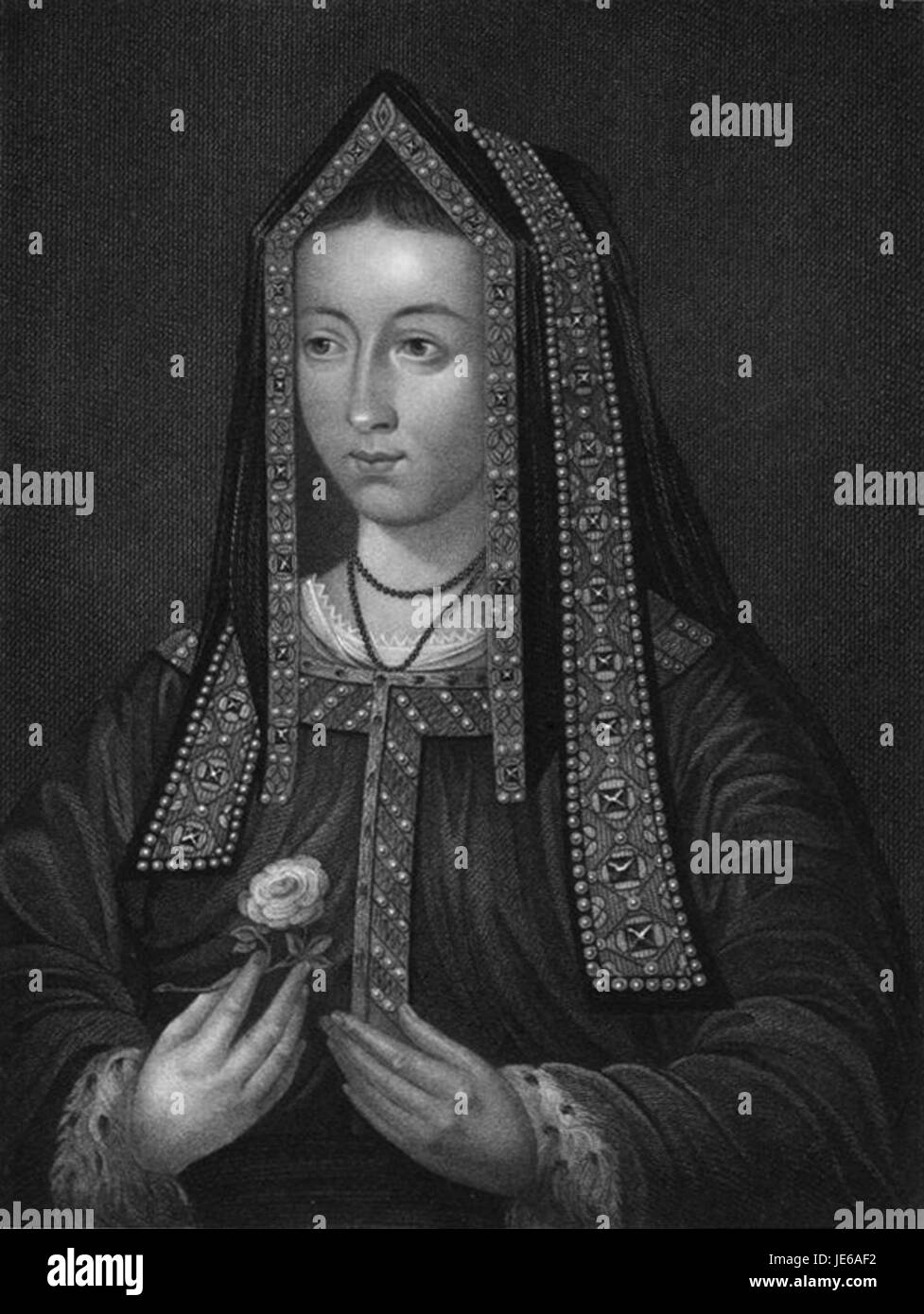 Ce portrait d'Élisabeth d'York, réalisé par William Thomas Fry, capture la ressemblance de la reine anglaise, connue pour son rôle dans la dynastie Tudor. Banque D'Images