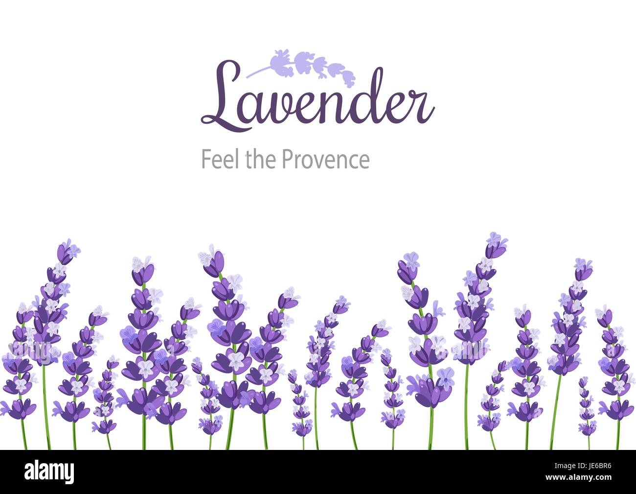 Carte avec des fleurs de lavande. Avec étiquette Vintage violet provence lavande. Illustration de Vecteur