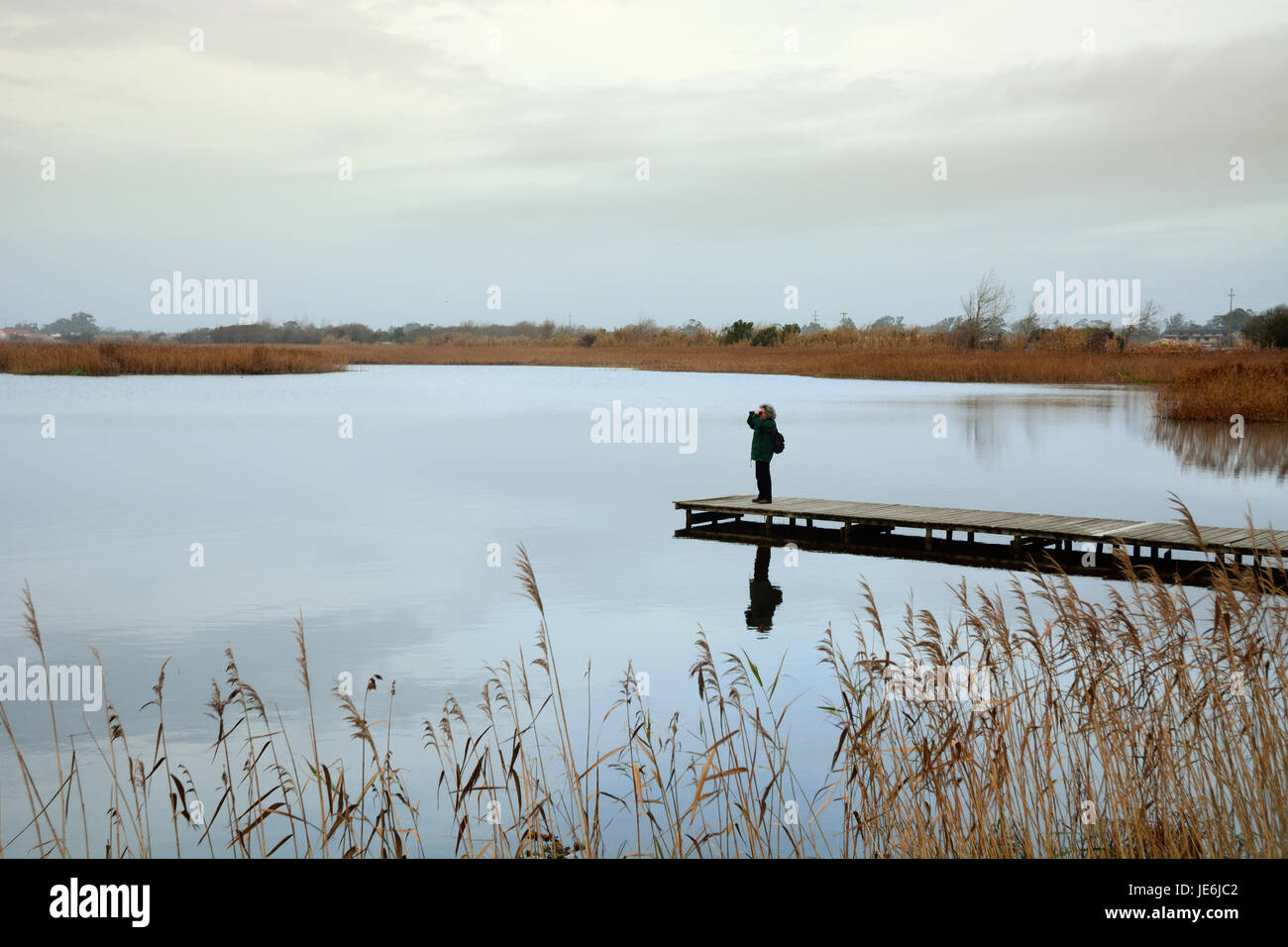 L'observation des oiseaux à la lagune, Mira Portugal Banque D'Images