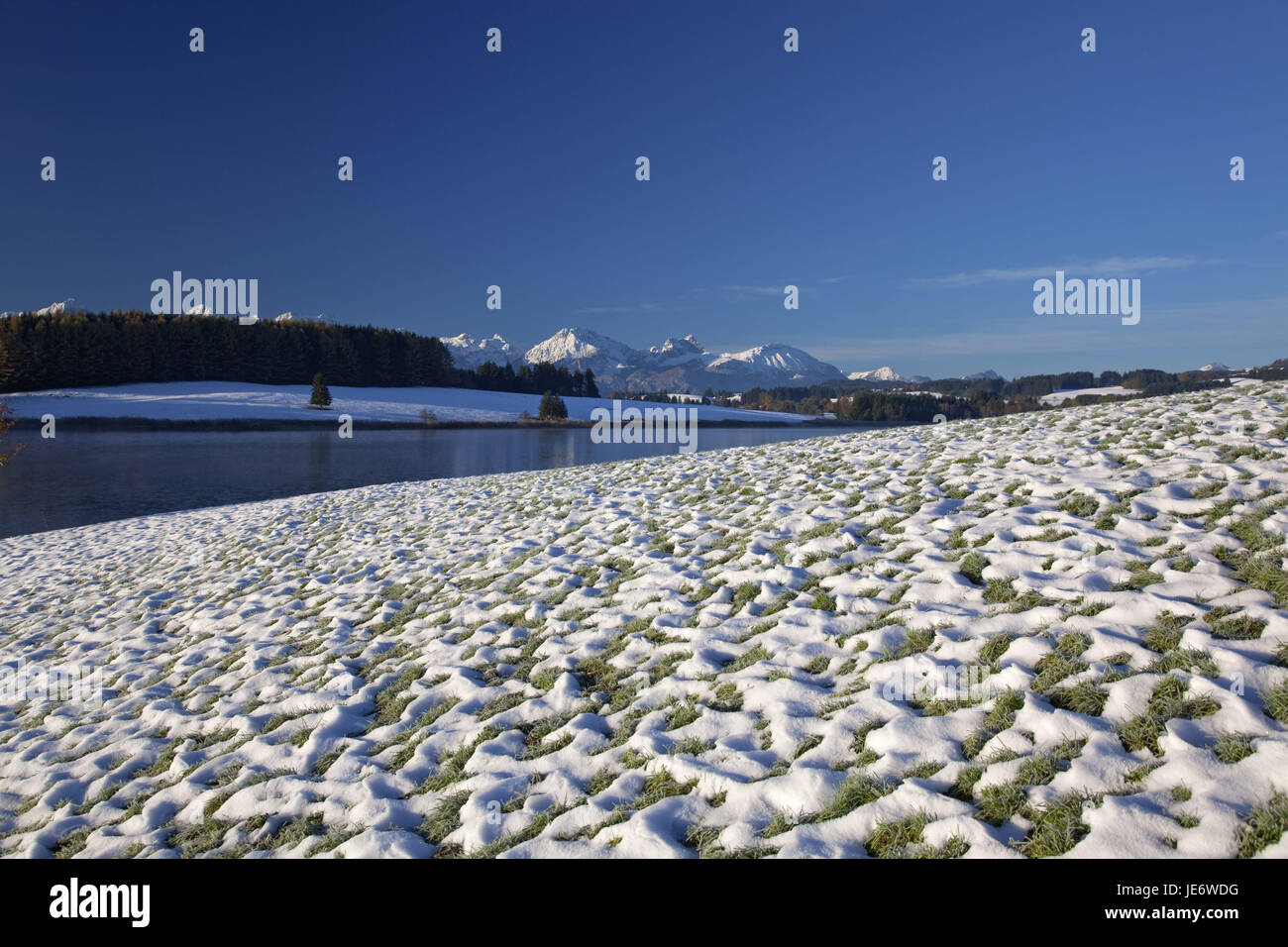 Avec Illasbergsee montagnes Allgäuer Forggensee, en automne, Halblech, à l'est, de l'Allgäu Allgäu souabe, Bavière, Allemagne du Sud, l'Allemagne,, Banque D'Images