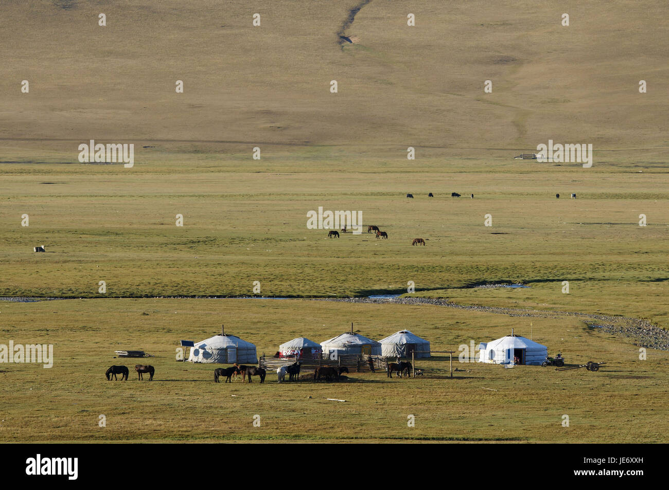 La Mongolie, l'Asie centrale, la province Arkhangai, NOMAD, support, Jurten, Banque D'Images