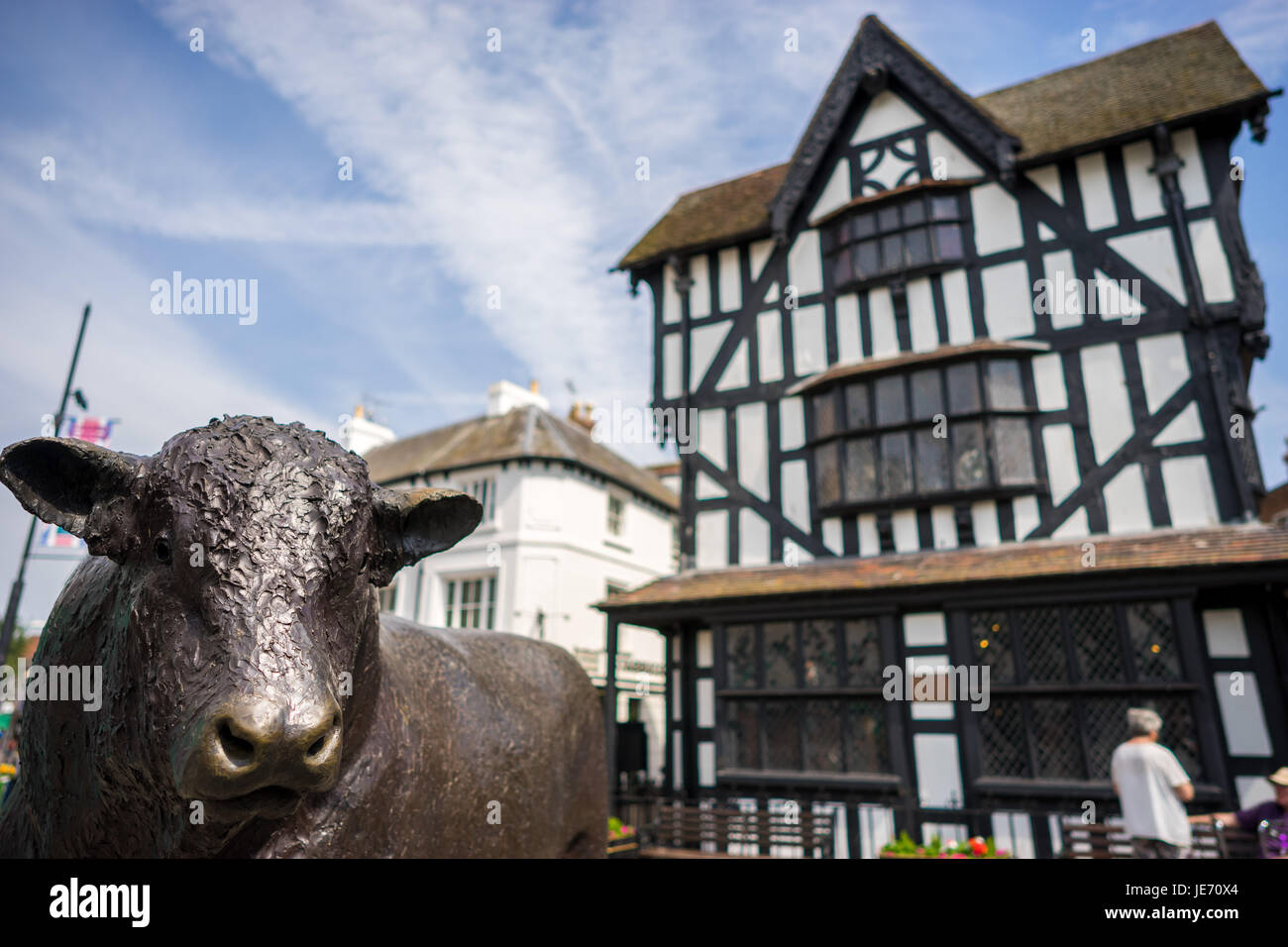 Retour et White House Museum et bronze statue taureau Hereford Herefordshire Angleterre Royaume-uni centre ville Banque D'Images