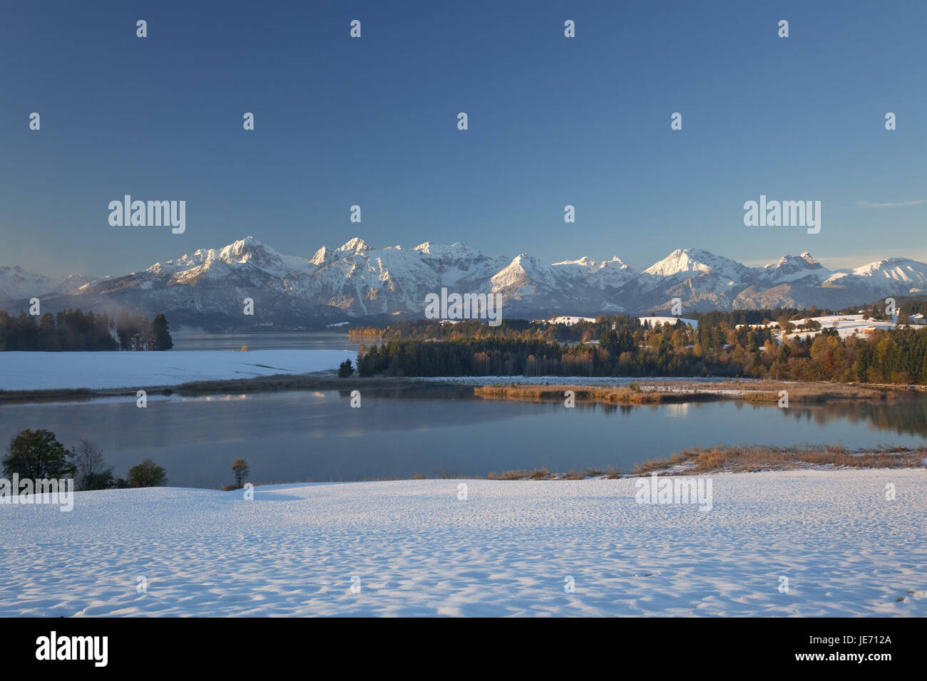 Avec Illasbergsee montagnes Allgäuer Forggensee, en automne, Halblech, à l'est, de l'Allgäu Allgäu souabe, Bavière, Allemagne du Sud, l'Allemagne,, Banque D'Images