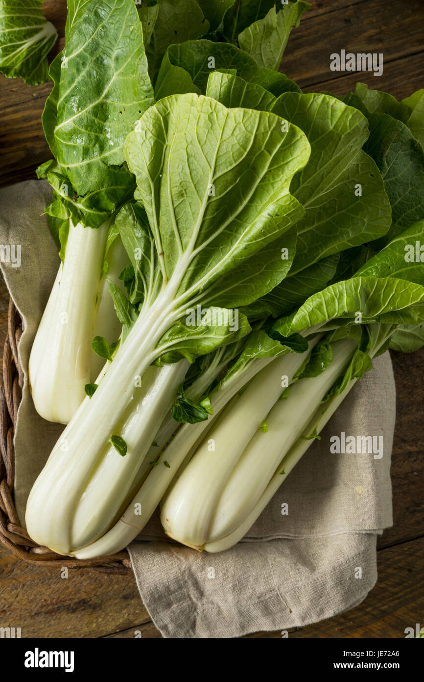 Matières organiques verts Légumes frais et sain de Bok Choy Banque D'Images