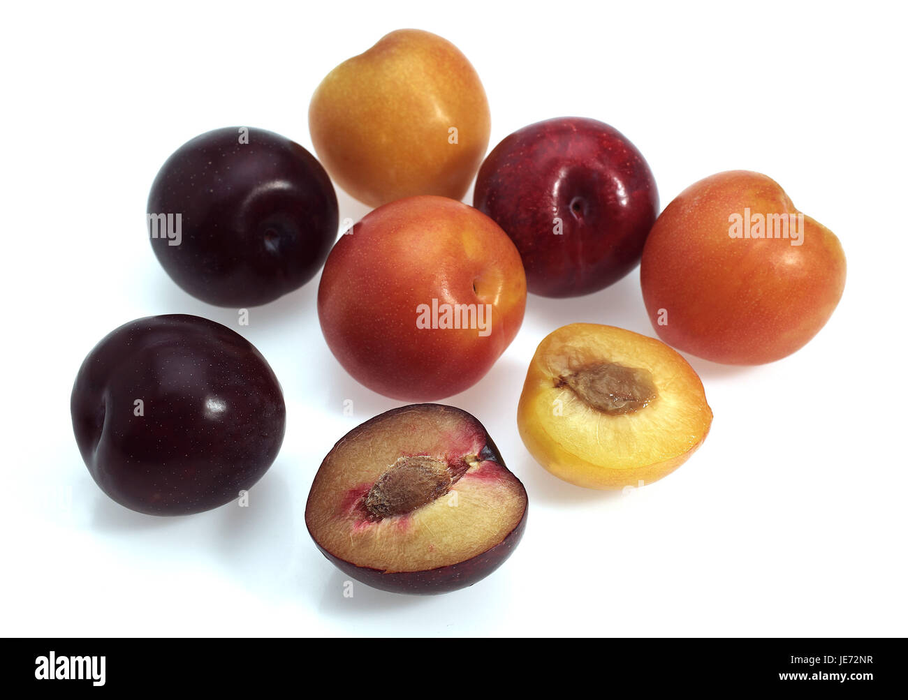 Prunes rouges, prunes jaunes, Prunus domestica, fond blanc, Banque D'Images