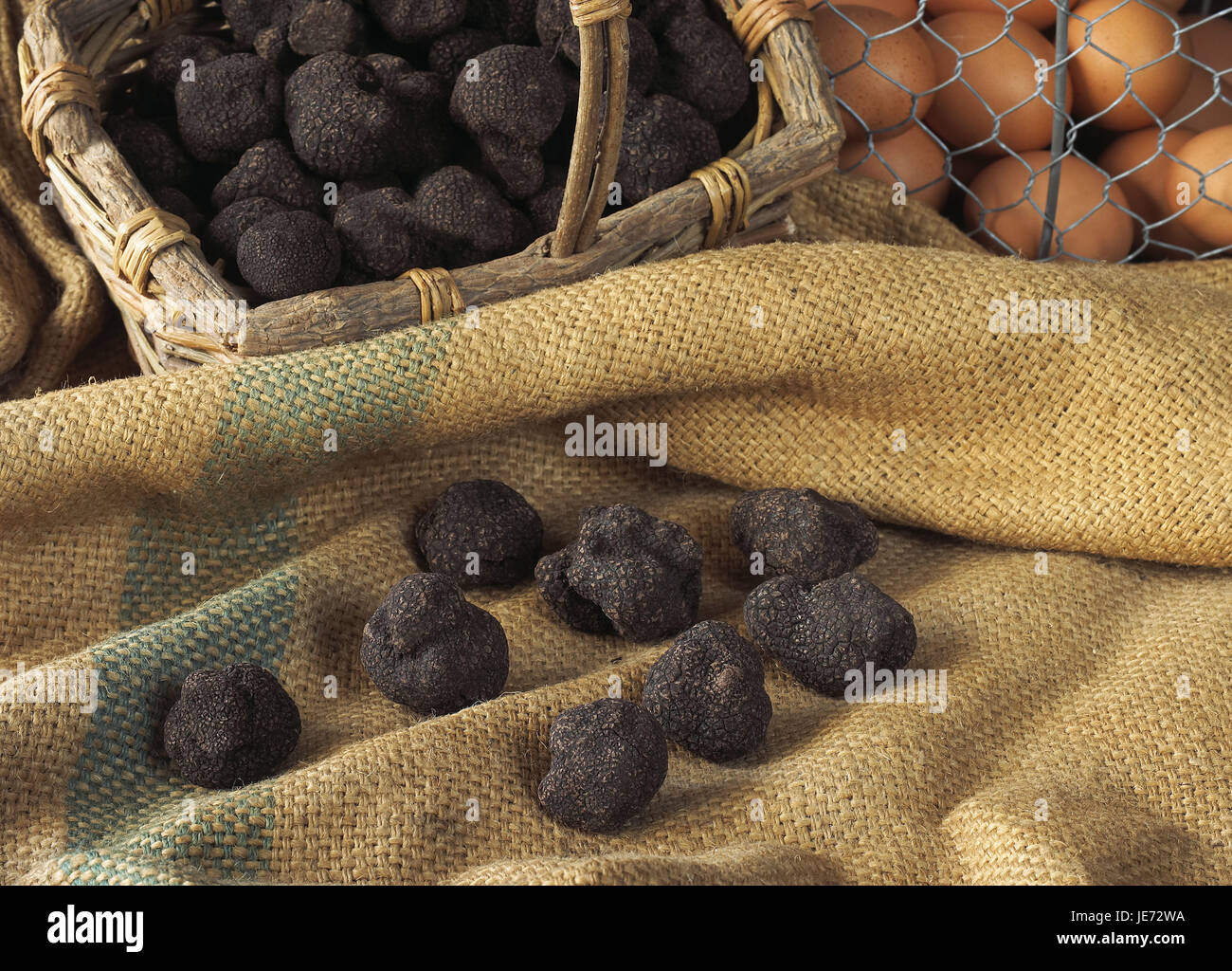 Volaille Oeufs, truffe du Périgord, la truffe noire, Tuber melanosporum, champignons, Banque D'Images