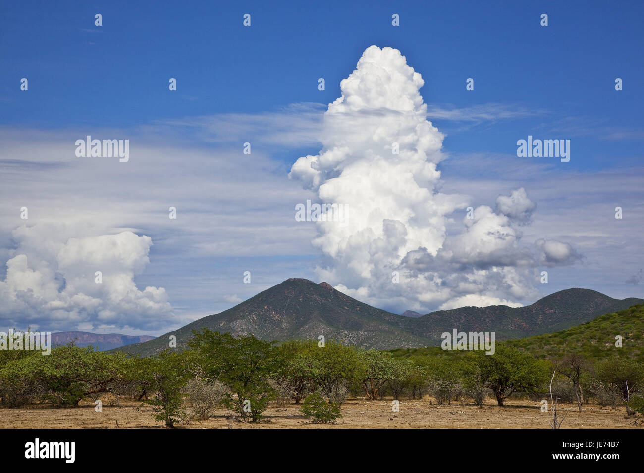 L'Afrique, la Namibie, la région de Kunene, Kaokoveld, montagnes, montagnes, paysage de montagne, Mopanewäldchen, nuages, nuage, nuages, atmosphère orageuse beautyful, blanc, bleu, d'une région, d'arbres, l'Afrique du Sud-ouest, Banque D'Images