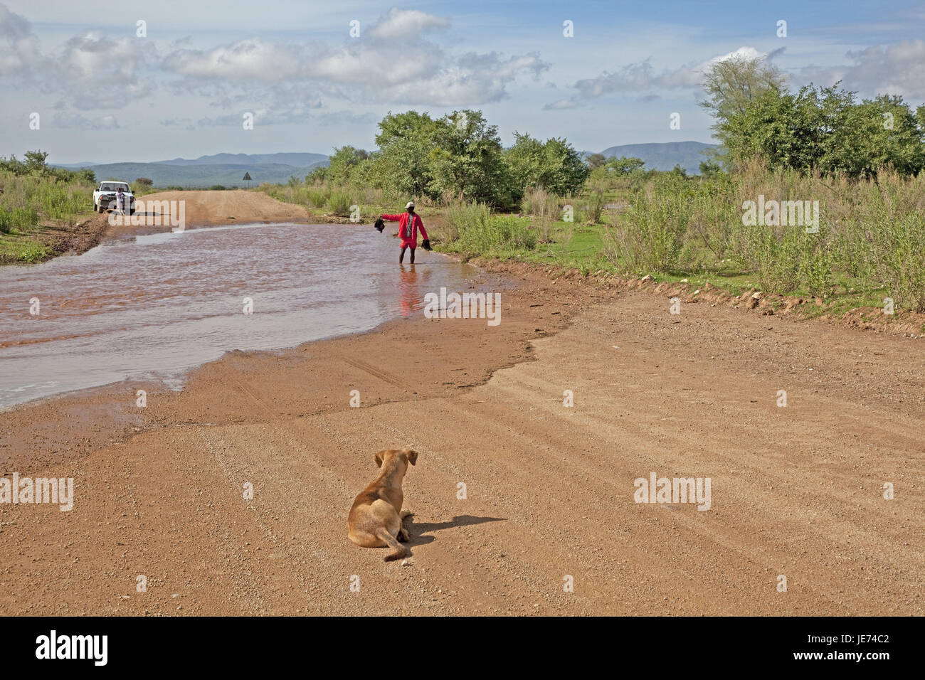 L'Afrique, la Namibie, la région de Kunene, Kaokoveld, le Sud-Ouest africain, piste, rivière, flux à sec, ford, eaux, inondations, voiture, toutes les roues du véhicule, piéton, passage à niveau, chien, animal, animal, personne, locale, enfant, Banque D'Images