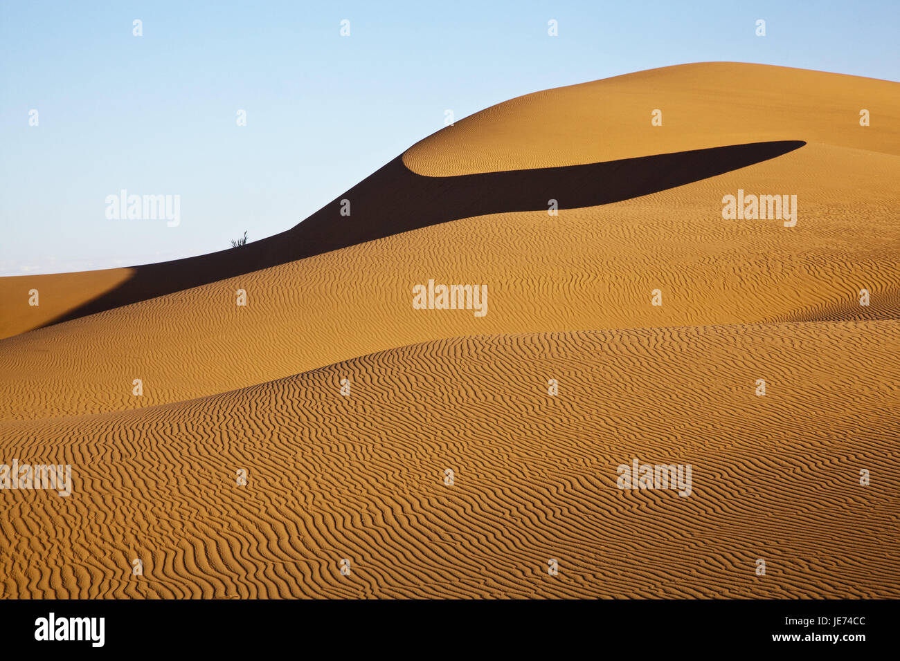 L'Afrique, la Namibie, la région d'Erongo, Namib Naukluft park, dunes, le Sud-Ouest africain, Namib, Namib Naukluft park, Rooibank, Walvis-Bay, désert, désert de sable, dunes, Sandrippel, vagues de sable, Mer de Sable, formé dans le vent, seul, splendidement, impressionnant, intact, sec, life-hostilely, format vertical, soleil, ombre, Banque D'Images