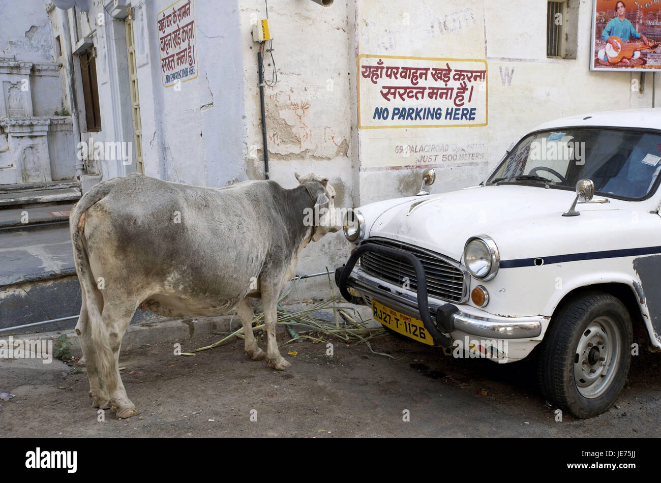 L'Inde, Rajasthan, Udaipur, une voiture et un cortex devant une assemblée, Banque D'Images